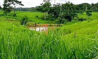 Imagem 3: 200 hectares Fazenda / sítio com venda por R$500.000
