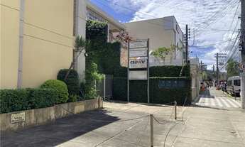 Imagem 4: Espaço Comercial Completo - 8 vagas - imóvel 720 m2 - General Osório - Nova Friburgo