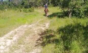 Imagem 4: Vendo Sítio 7aq em Natividade To