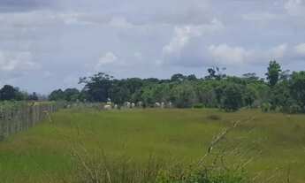 Imagem 5: 58 Alqueires em Vila do Riachom, às margens da ES 010