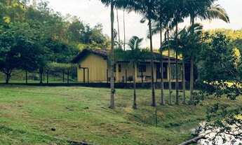 Imagem 6: Sítio em Luiz Alves terra da cachaça