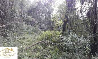 Imagem 5: Área de terra bairro Linha Imperial, Nova Petrópolis RS Ref.:884