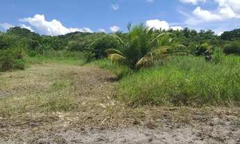 Imagem 2: Sítio em goiana