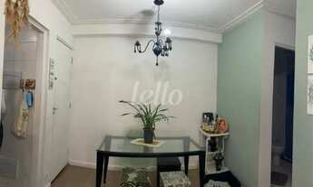 Imagem 2: Santo André - Apartamento Padrão - Vila Homero Thon