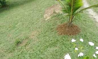 Imagem 4: Belo sítio medindo 2.500 m² em Cachoeiras de Macacu, com uma vista espetacular