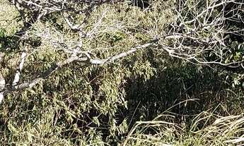 Imagem 6: Terreno no alto de buzios 10×30 com vista ao mar 120.000R