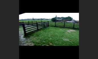 Imagem 3: Fazenda a venda 58 alqueires 47 de capim! 30 km da cidade José pó filho..?