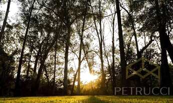 Imagem 6: Terreno - Tanquinho Velho - Jaguariúna