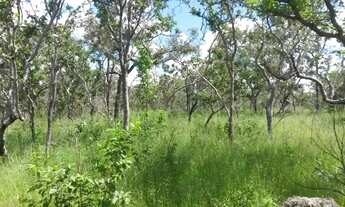 Imagem 4: Fazenda de 4.849,68 hectares Arraias-To