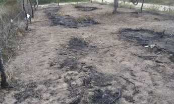 Imagem 5: Vendo lote próximo a pedra ferrada 13.000