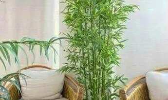 Imagem 5: Apartamento Mobiliado, original de 3 quartos, Bora Bora Resort, andar alto