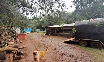 Imagem 5: Vendo Chácara com 7440m2 na cidade de Campo Novo rs