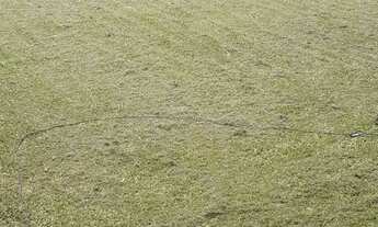 Imagem 5: VENDO CASA - CHACARA PRIMAVERA