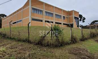 Imagem 3: Galpão / Depósito / Armazém em Cachoeira - São José dos Pinhais