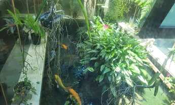 Imagem 3: Linda casa em condomínio com 5 dormitórios, condomínio com área de lazer completa