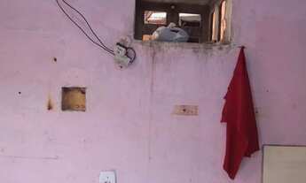 Imagem: Lírio do vele 1