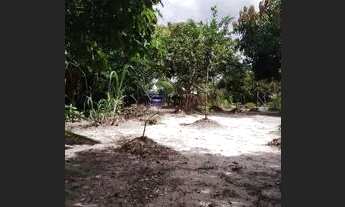 Imagem 6: Vende-se sítio em Alcântara MA