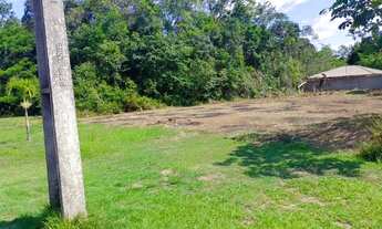 Imagem 6: Terrenos p/ Chácaras no km 05 da Cidade de Iranduba, parcelados