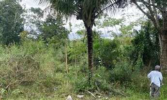 Imagem 4: Excelente fazenda de 115 t, com duas casas. curral, pastagem, rio e arvores frutíferas