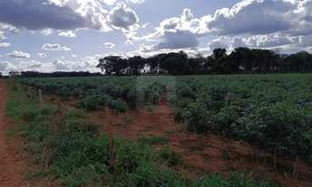 Imagem 5: Área Rural Para venda no Monte Alegre