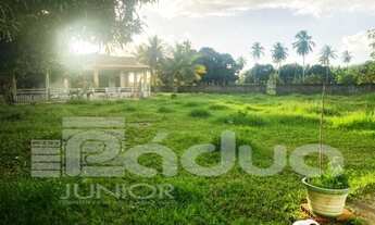 Imagem 6: Chácara à Venda no Povoado Matapoã - Mosqueiro