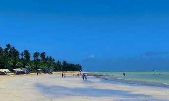 Imagem 3: Vende-se terreno 162m/2 Milagres