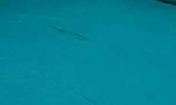 Imagem 4: Passo Chave no Vite R$ 185 mil parcela R$ 1885,45