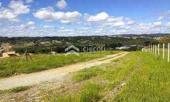 Imagem 7: Residencial Lote/Terreno em