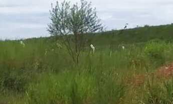 Imagem 3: Atlântica Imóveis tem excelente área à venda, 3000 m² - Imboassica - Macaé/RJ