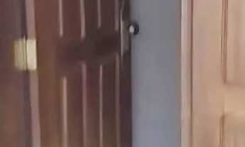 Imagem 4: Augusta Mota 3/4 Suite... Garagem 4 carros 479.900.00