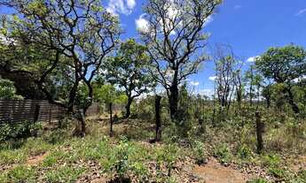 Imagem 2: Chácara 2 hec escriturada Mansões Fazendária - Tororó