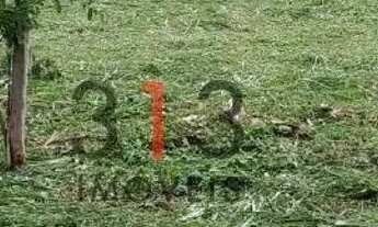 Imagem 3: Terreno plano murado com 2895m2 RGI individual Cisterna para 30 mil litros de agua O terre