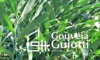 Imagem 7: Chácara com 2 dormitórios à venda, 72600 m² por R$ 650.000,00 - Agrovila Mata de Jerico