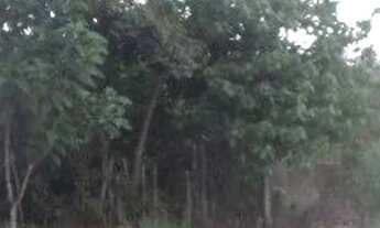 Imagem 4: CHÁCARA PARA VENDER COM 2 DORMITÓRIOS EM CAÇAPAVA