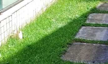 Imagem 3: Exclusividade: Casa 3 pavimentos maravilhosa com área de lazer completa em Interlagos