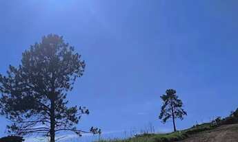 Imagem 3: Oportunidade única: lote diferenciado em localização estratégica