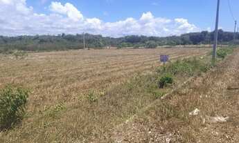 Imagem 4: Terreno lotes no Paracuru