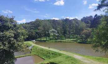 Imagem: Propriedade Rural de 3,95 Hectares