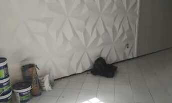 Imagem 4: Karol)- Ótima oportunidade para você adquirir sua casa própria