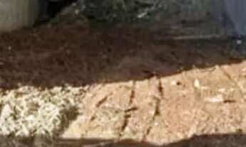 Imagem: Terreno à Venda medindo 150 m²