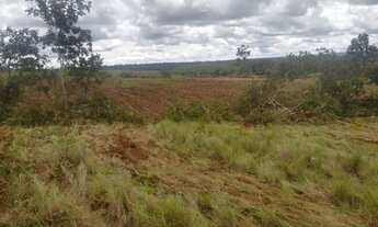 Imagem: Explore as Vantagens de Comprar uma Fazenda