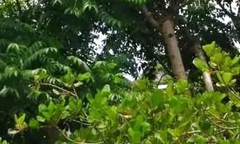 Imagem 4: Imóvel para venda tem 1100 metros quadrados com 3 quartos em Recanto da Sereia - Guarapari