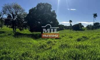 Imagem 2: Sitio 19 alqueires (91,96 hectares) Jandaia - Go