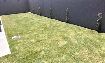 Imagem 5: Vendo lindo sobrado no Botanico