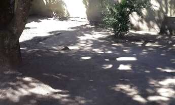 Imagem 3: CASA COM 03 QUARTOS. A VENDA115 M² POR 155.0000 JARDIM PARAÍSO