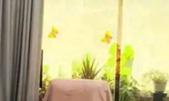 Imagem 6: VENDE-SE CASA NO JARDIM TROPICAL BOA VISTA/RR