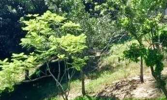 Imagem: Sobrado para venda tem 508 metros quadrados