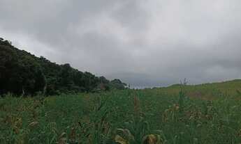 Imagem 6: Terrenos para venda possui 500 metros quadrados com 1 quarto em Colégio - Ibiúna - SP