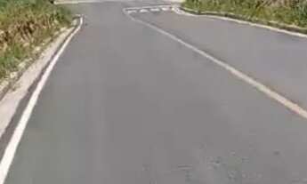 Imagem 2: Lote em São Joaquim de bicas