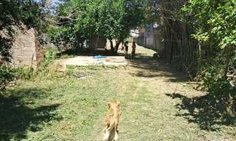 Imagem 3: Terreno 11x160 com 2 casas